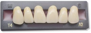 Dents Artificielles - INCISIVE DU HAUT (6 dents)