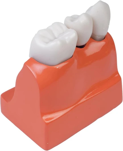 51IMcRLuc7L._AC_SL1200_