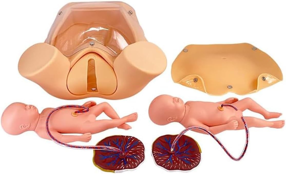 UIGJIOG Simulateur D'accouchement Modèle Bassin Démonstration D'accouchement Modèle Anatomique Pelvien Modèle Taille Naturelle Moule D'enseignement Maternité Modèles D'utérus Bébé