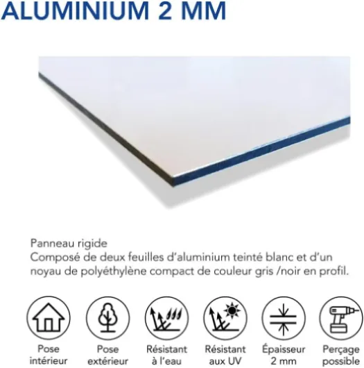 51lNuqSu2lL._AC_SL1000_