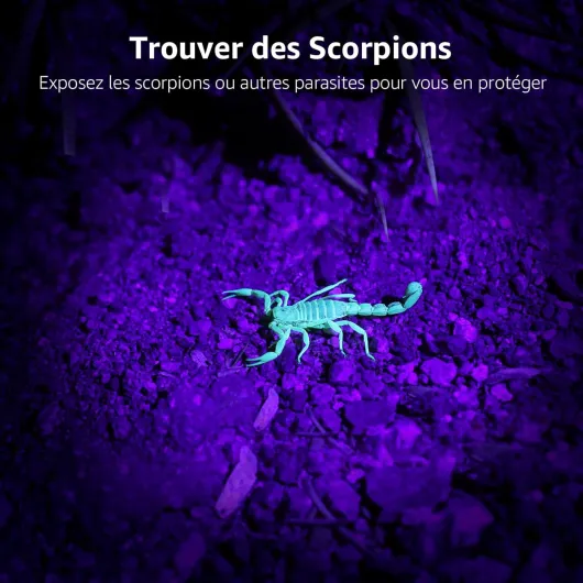 71WHPkvko1L._AC_SL1500_