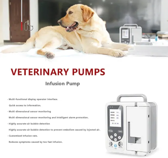 61Q6hzgeiNL._AC_SL1500_