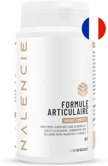 Formule Articulations Complète - Anti douleurs - 7 Actifs : Glucosamine, Chondroïtine Marine, MSM, Collagène Marin, Boswellia, Vitamine C, Magnésium – 60 Gélules – Fabrication Française