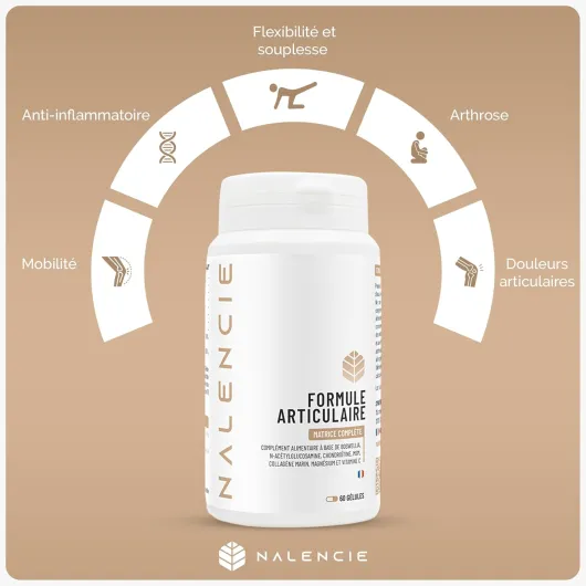 61BaScWsxUL._AC_SL1500_