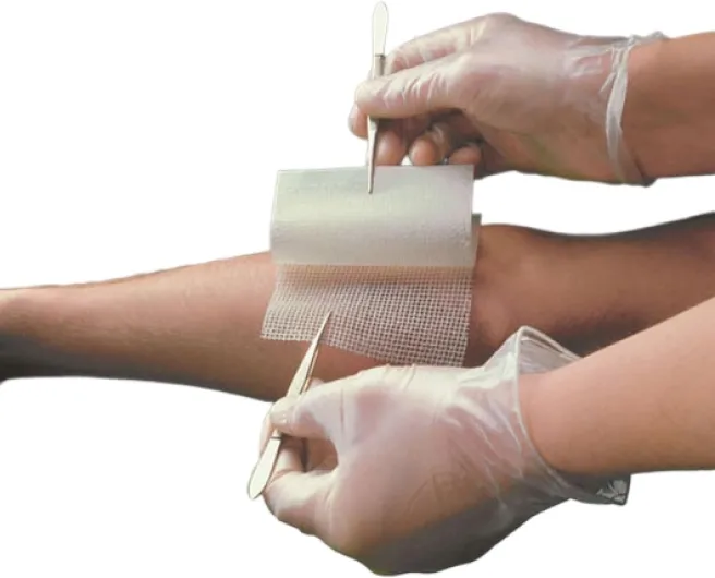 51BJ6gSoQfL._AC_SL1200_