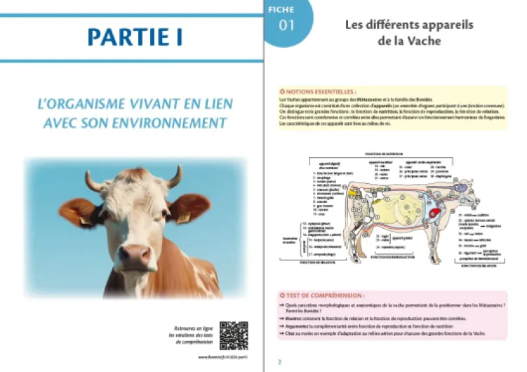 61VRGMPjStL._SL1101_