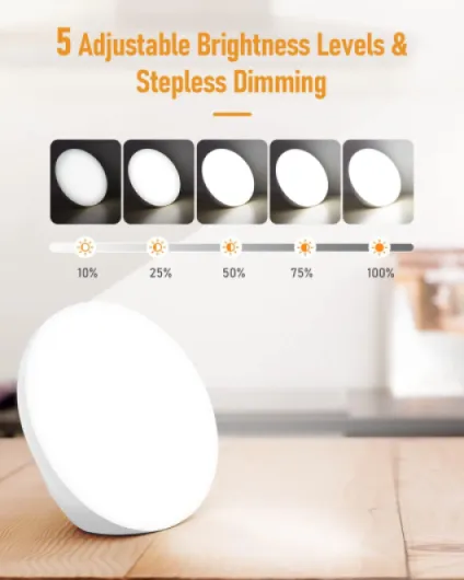 61LQ8PR0NKL._AC_SL1500_