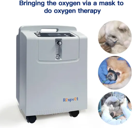 61rpZWMx8-L._AC_SL1500_