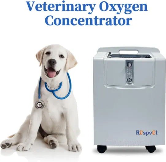 61t-HSjkBaL._AC_SL1500_