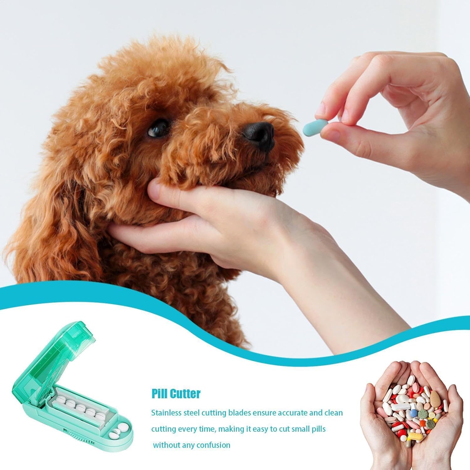 Coupe-pilule Pour Petites Pilules – 10,4 X 4,6 X 3,6 Cm, Séparateur De Comprimé Précis, Lame En Acier Inoxydable - Humain Animaux Gestion Des Médicaments Soins Aux Personnes Âgées Maison De Retraite H Green