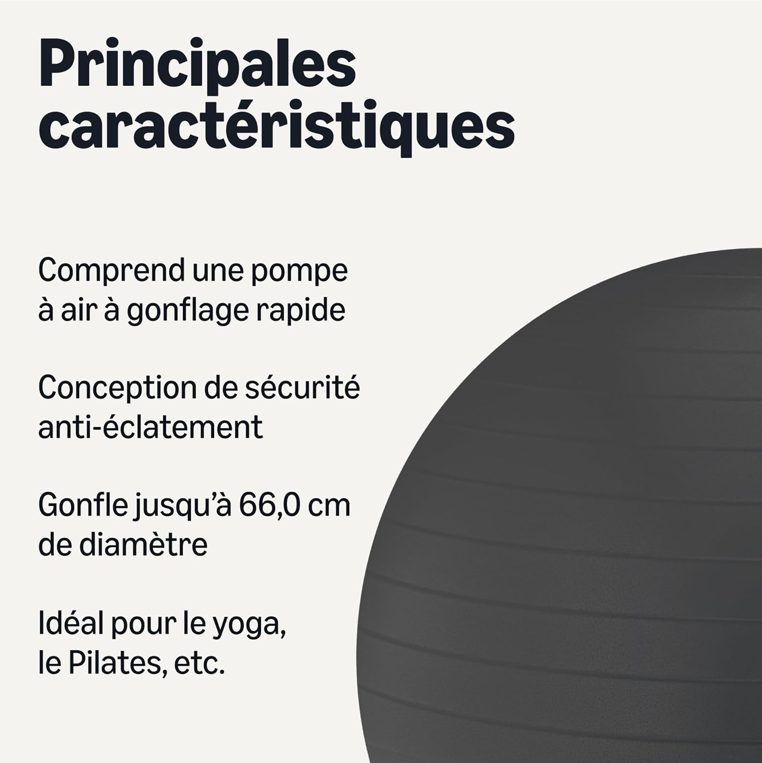 Yoga Exercise Ball Noir