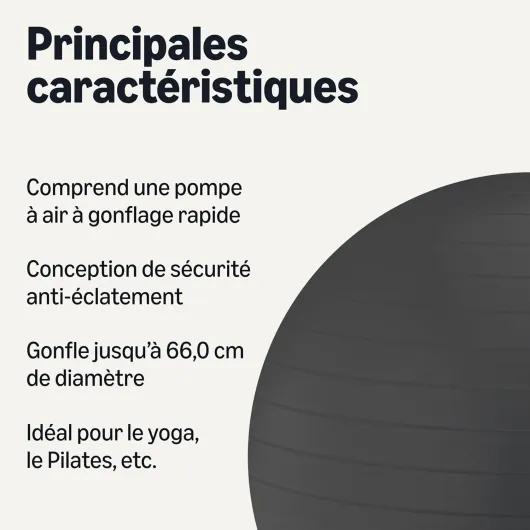 Yoga Exercise Ball Noir