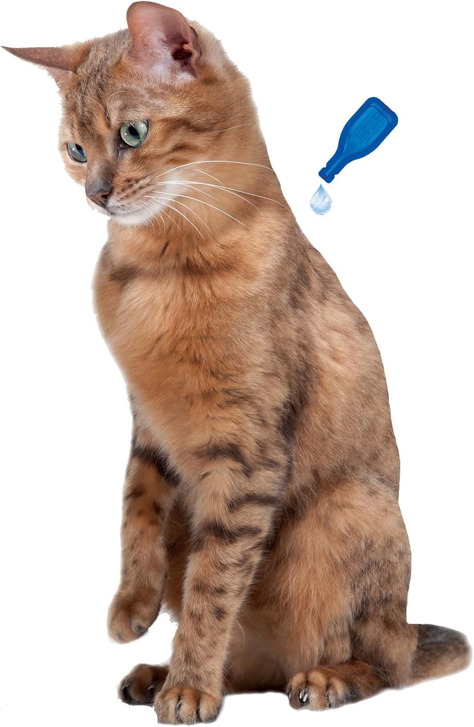 NO STRESS – Pipettes calmantes à la Valériane pour chat – Réduit le stress et les problèmes comportementaux sans dépendance ni somnolence – Prêt à l'emploi – 3 semaines d'action – 3 pipettes