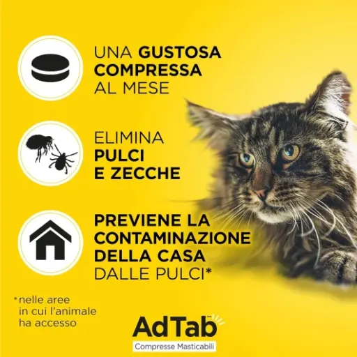 Test AdTab Comprimés à croquer Chats 2–8 kg : cher, mais ça dégomme vraiment puces et tiques