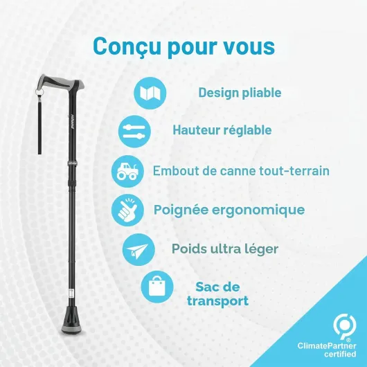 Canne de Marche Pliable Tout-Terrain, Canne de Marche pour Femme et Homme, Pointe Pivotante et Aide à la Mobilité Robuste, Bâton de Marche Réglable pour Les Personnes âgées et Les Dames Noir