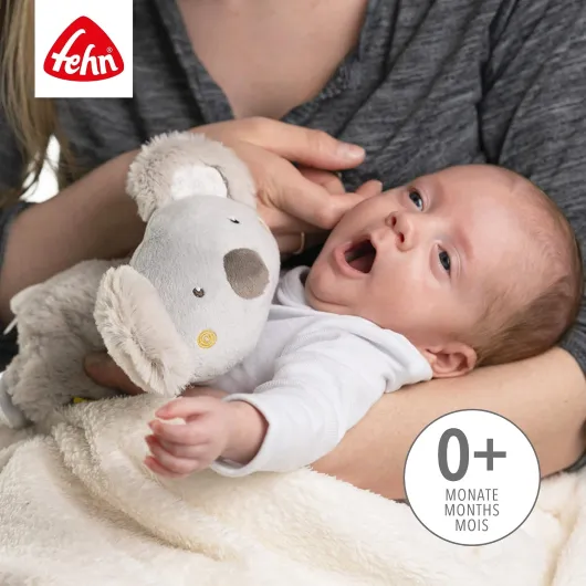 Animal chauffant koala - Coussin apaisant pour bébé en pépins de raisin, avec un adorable motif de koala - Coussin chauffant pour la détente des bébés et des enfants en bas âge dès la naissance